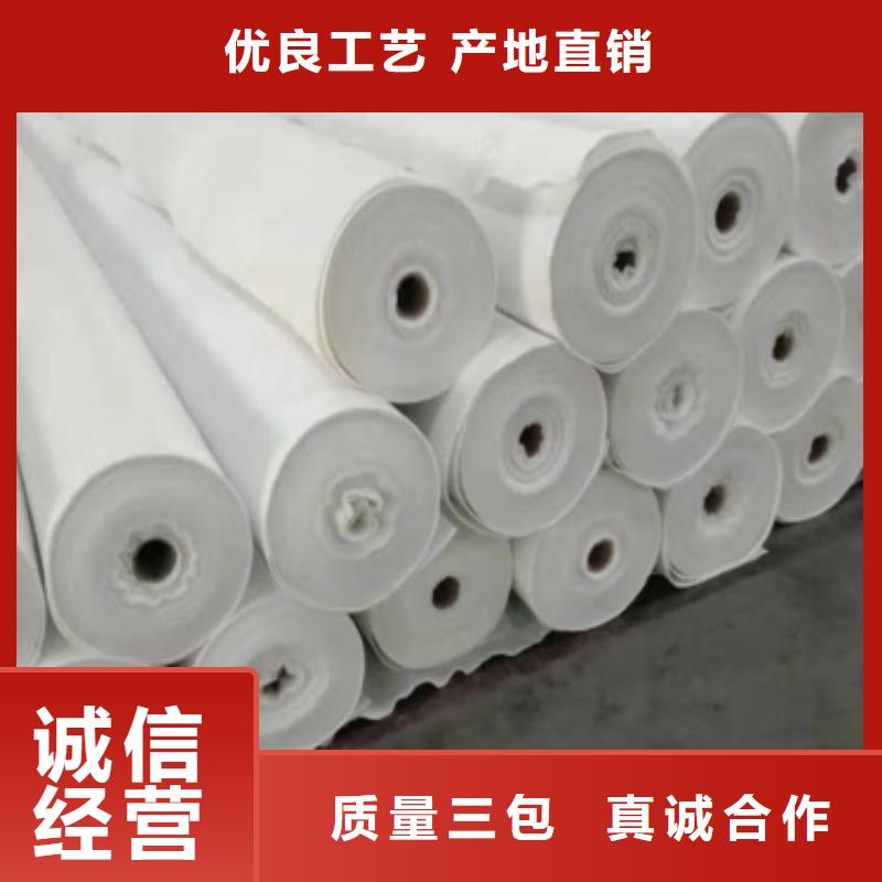 土工布雙向塑料土工格柵種類豐富