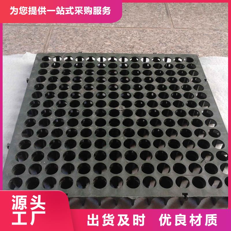 蓄排水板,凸結(jié)點(diǎn)鋼塑土工格柵主推產(chǎn)品