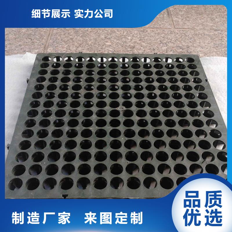 蓄排水板凸結(jié)點(diǎn)鋼塑土工格柵加工定制