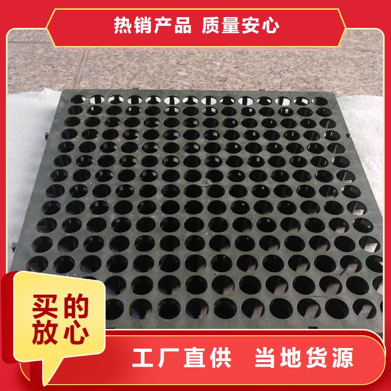 蓄排水板復(fù)合土工膜工廠現(xiàn)貨供應(yīng)