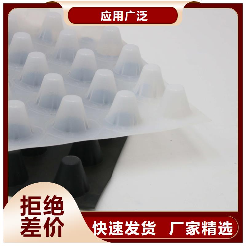 蓄排水板_滲排水片材工程施工案例