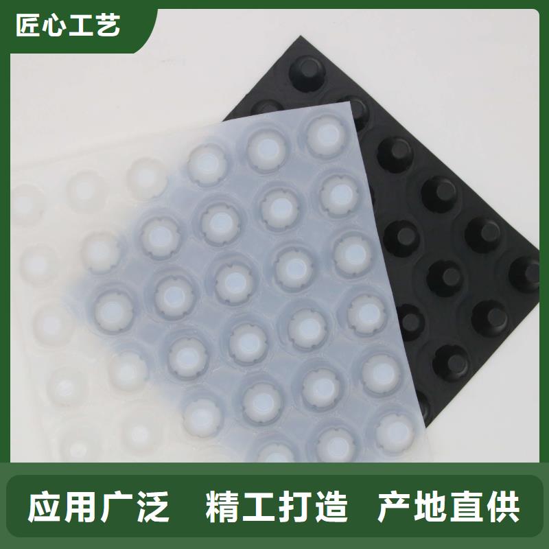 蓄排水板,凸結(jié)點(diǎn)鋼塑土工格柵主推產(chǎn)品
