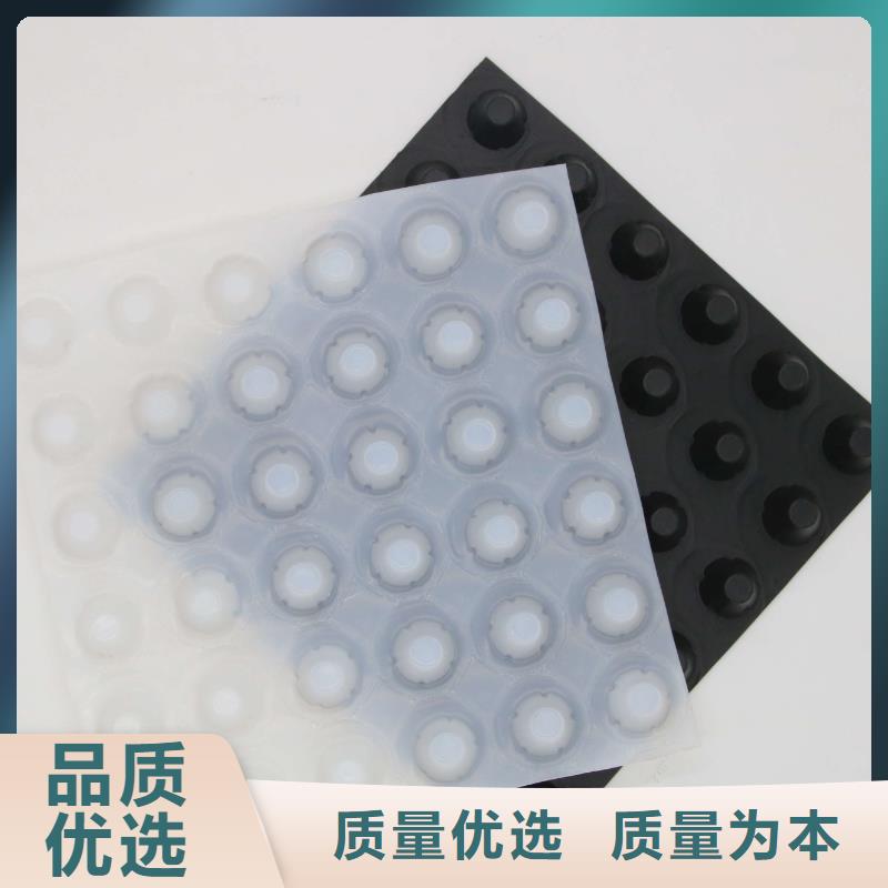 蓄排水板涤纶土工格栅品质保证