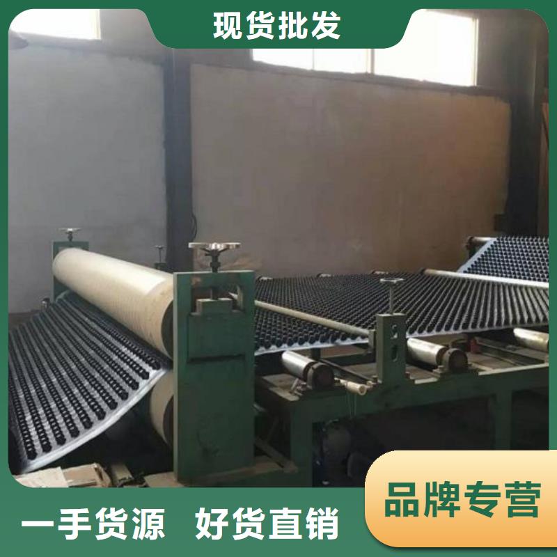 蓄排水板凸结点钢塑土工格栅加工定制