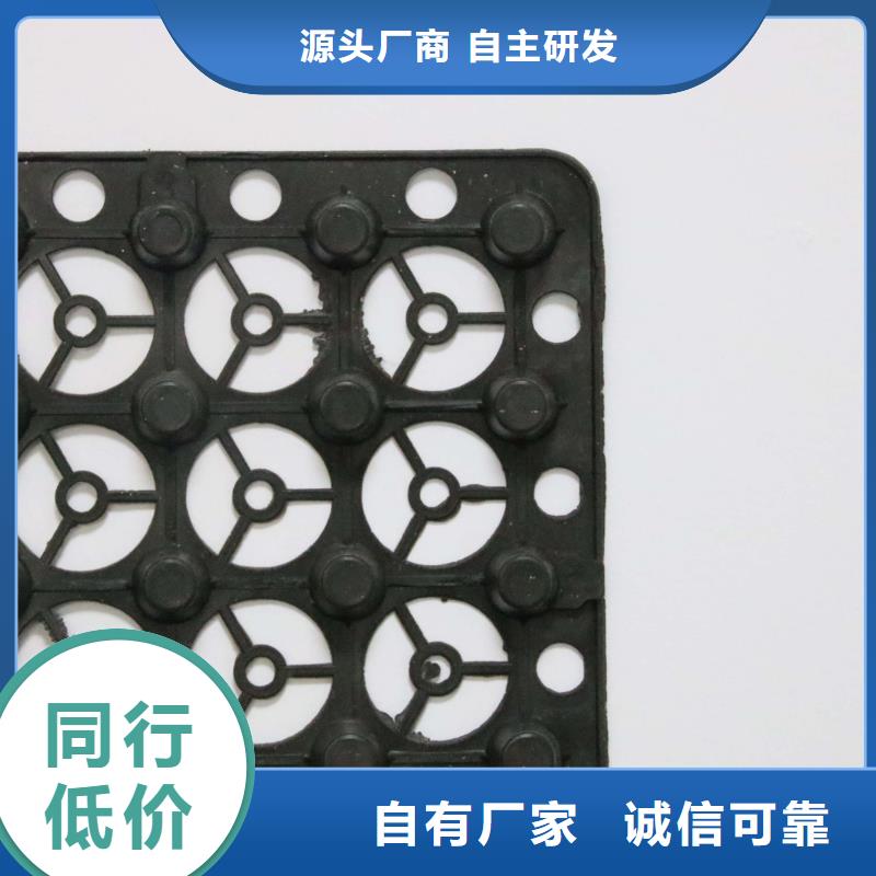 蓄排水板復(fù)合土工膜工廠現(xiàn)貨供應(yīng)