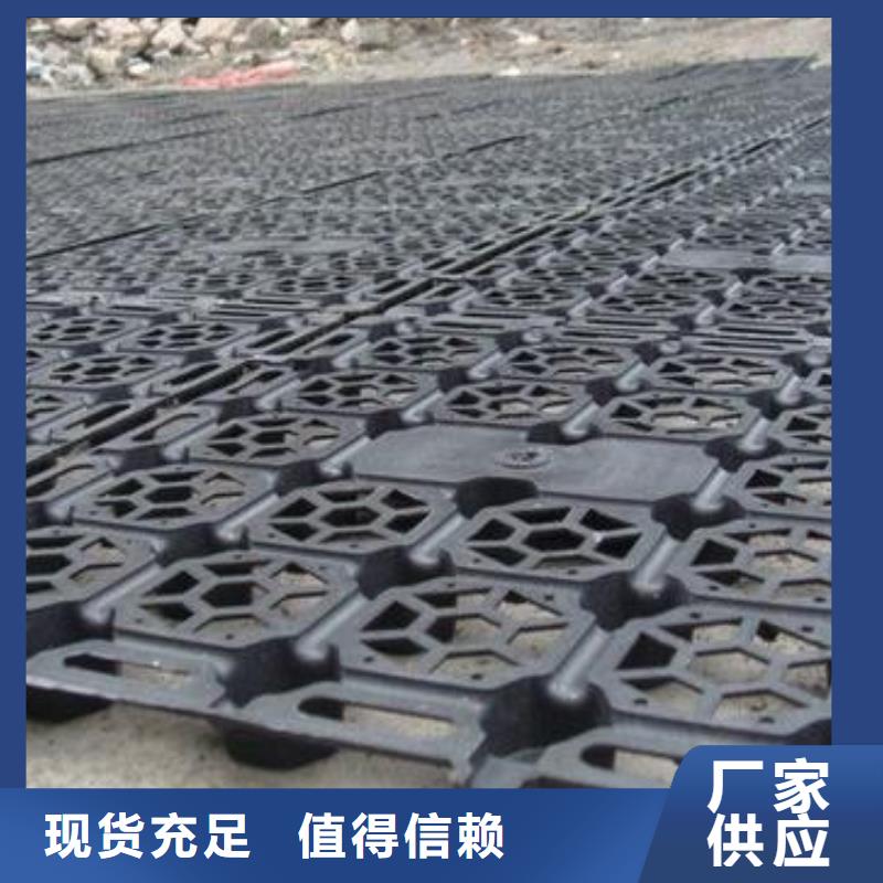 蓄排水板涤纶土工格栅品质保证