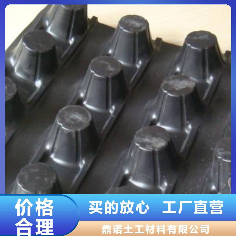 蓄排水板钢塑土工格栅发货及时