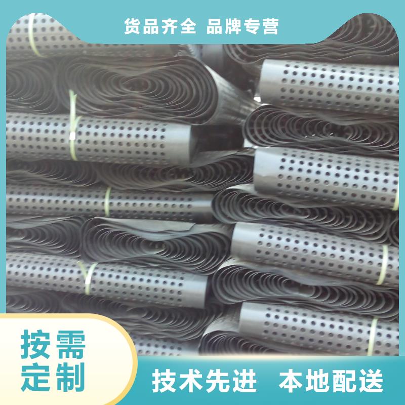 蓄排水板凸結(jié)點(diǎn)鋼塑土工格柵加工定制