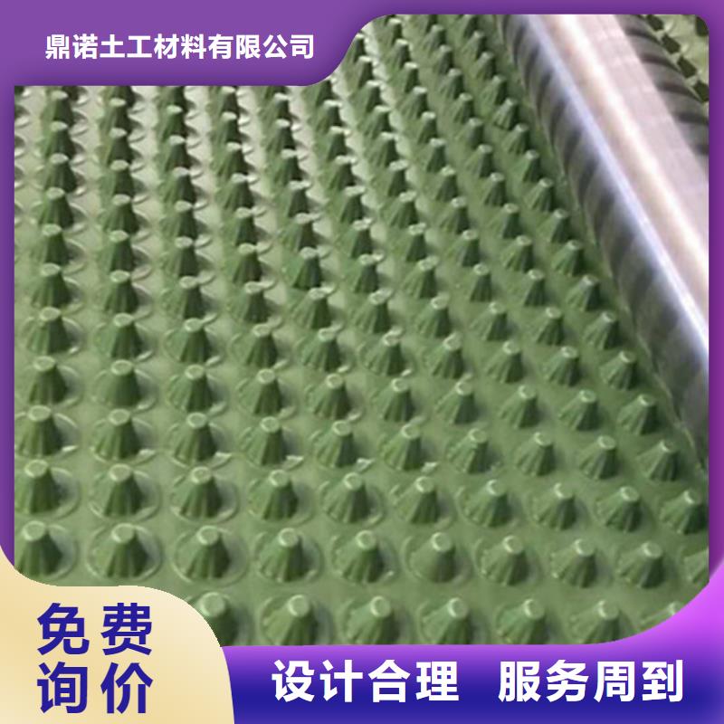 蓄排水板涤纶土工格栅品质保证