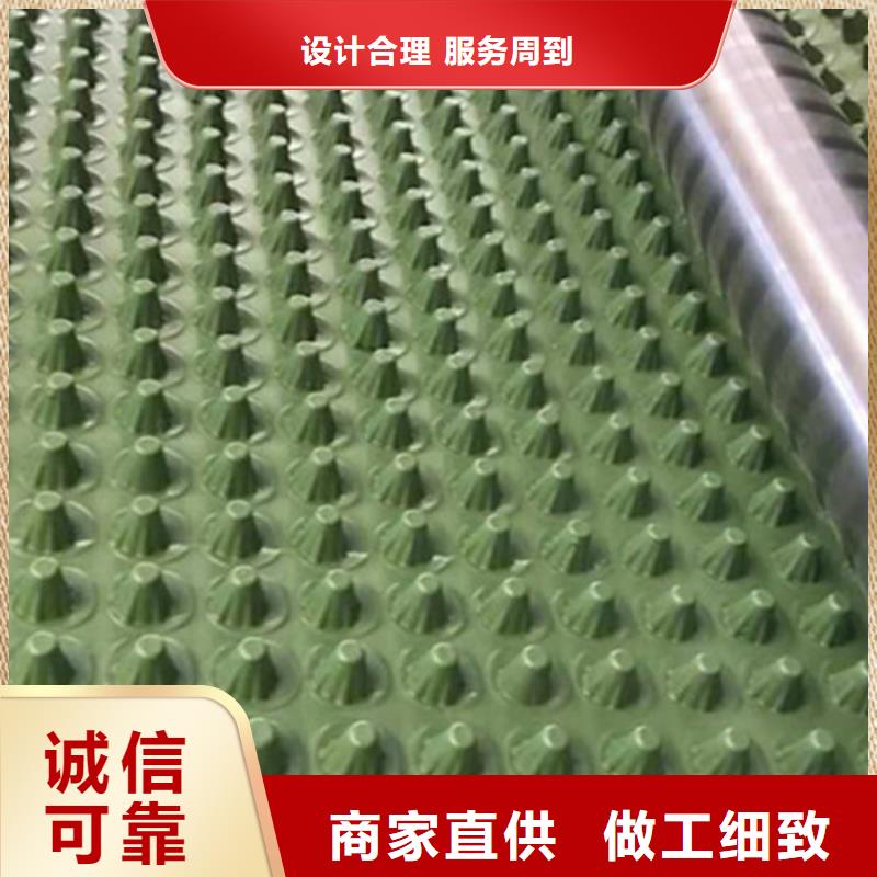 蓄排水板土工格栅精选好货