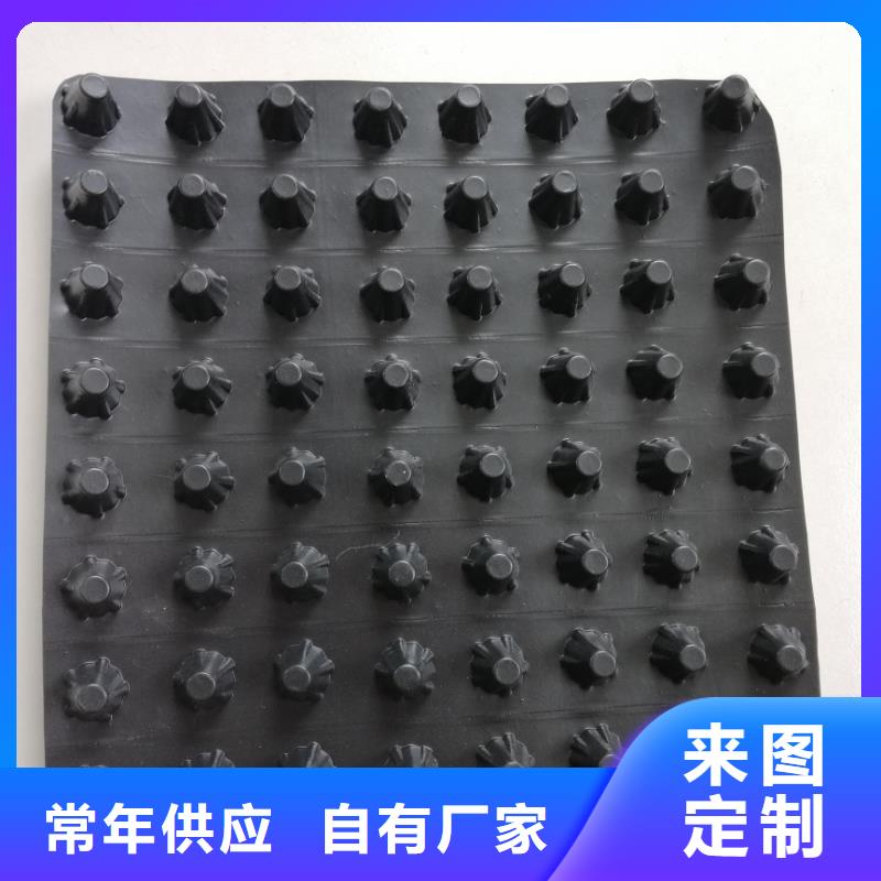 蓄排水板_滲排水片材工程施工案例