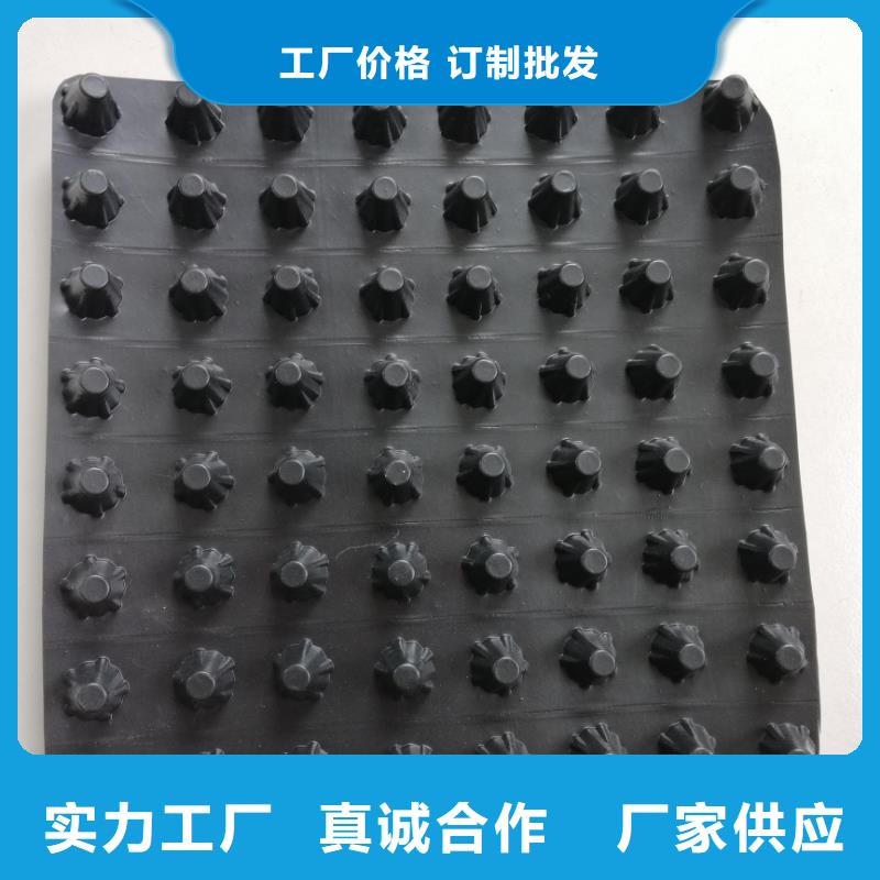 蓄排水板_塑料盲沟多年厂家可靠