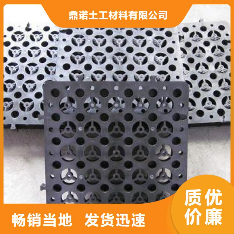 蓄排水板_滲排水片材工程施工案例