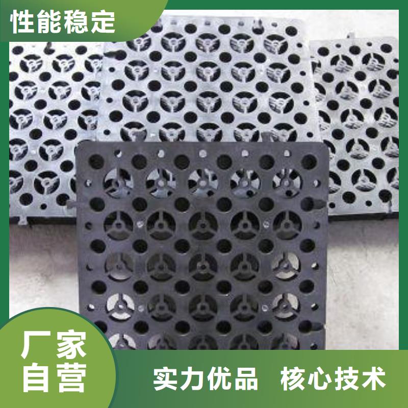 蓄排水板_塑料盲溝多年廠家可靠