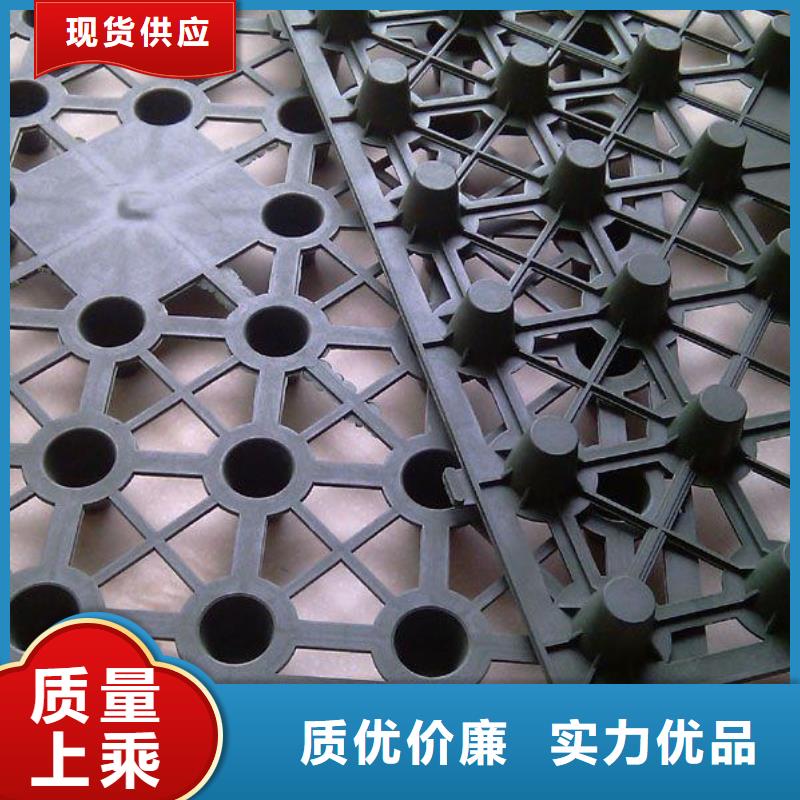 蓄排水板凸結(jié)點(diǎn)鋼塑土工格柵加工定制