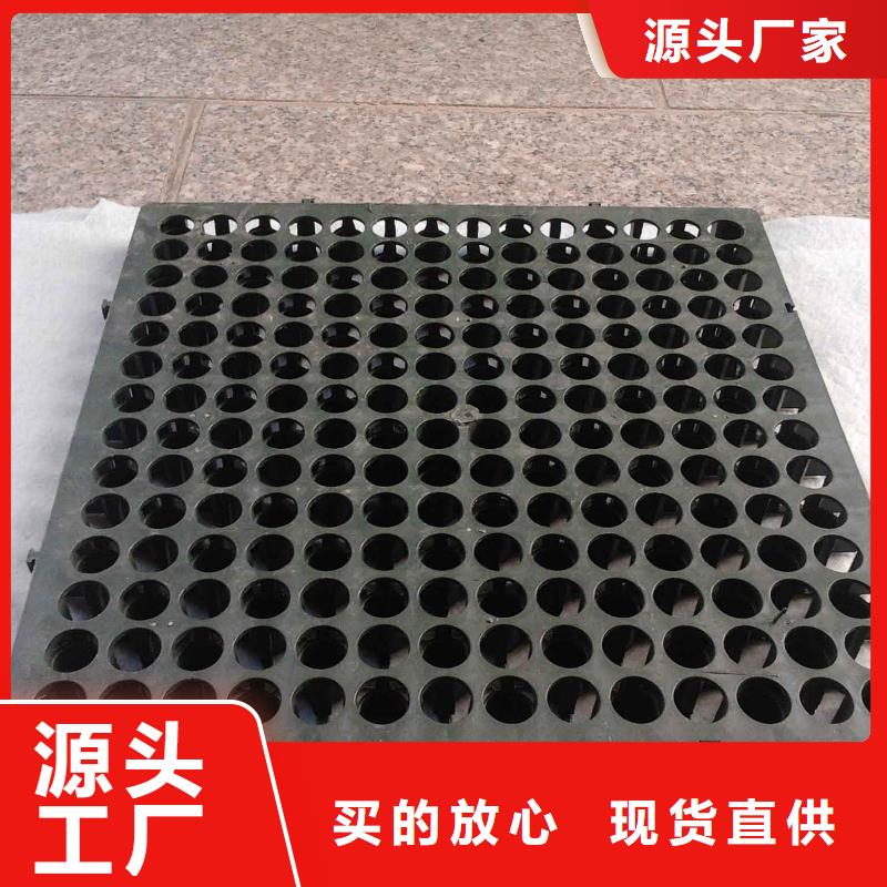 蓄排水板钢塑土工格栅发货及时
