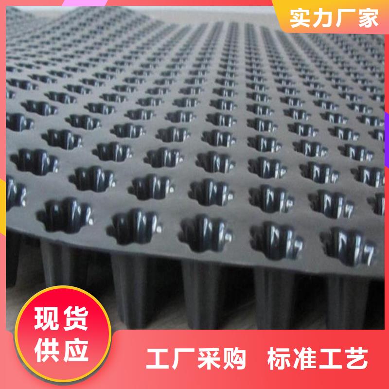 蓄排水板凸结点钢塑土工格栅加工定制