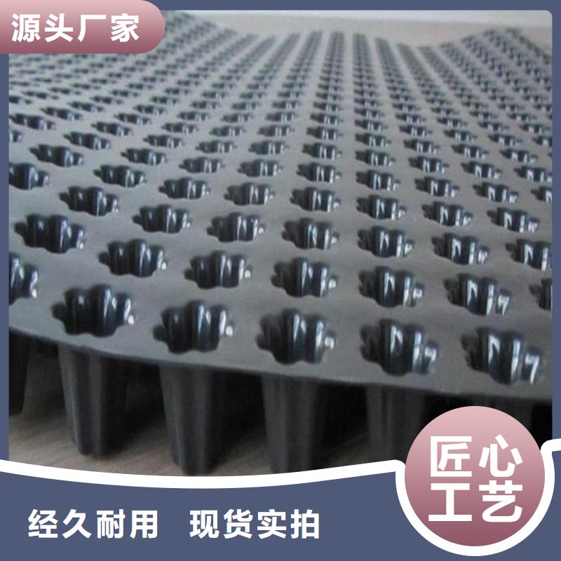 蓄排水板涤纶土工格栅品质保证