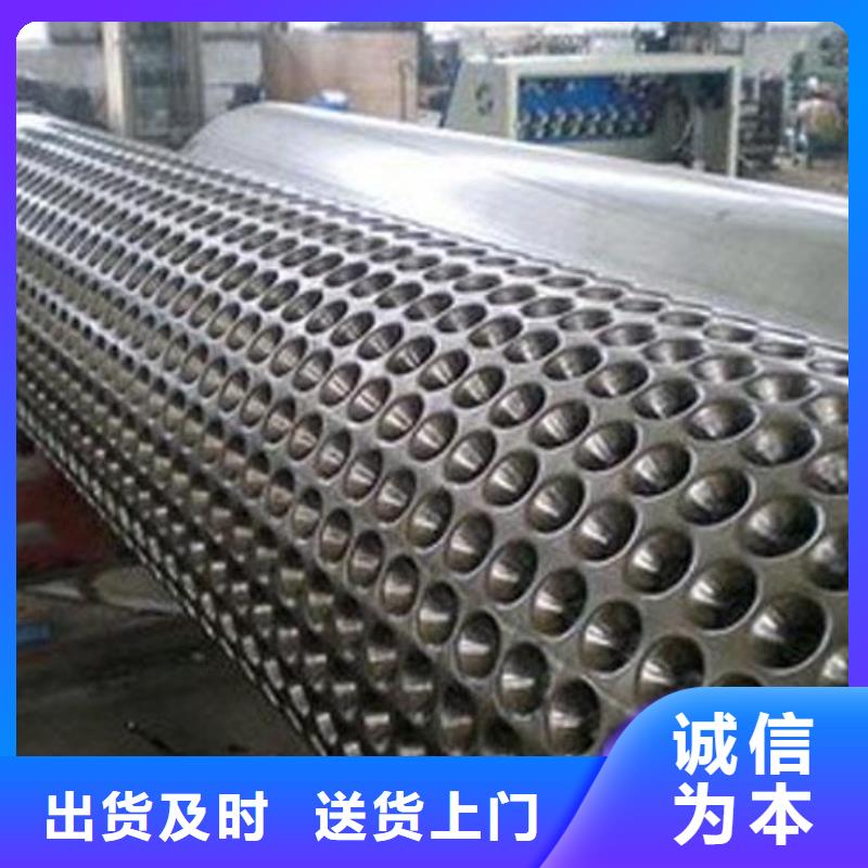 蓄排水板凸结点钢塑土工格栅加工定制