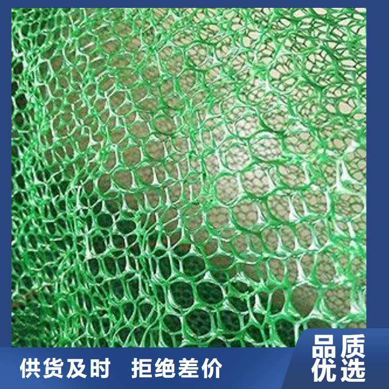 三維植被網(wǎng)土工席墊質(zhì)檢合格發(fā)貨