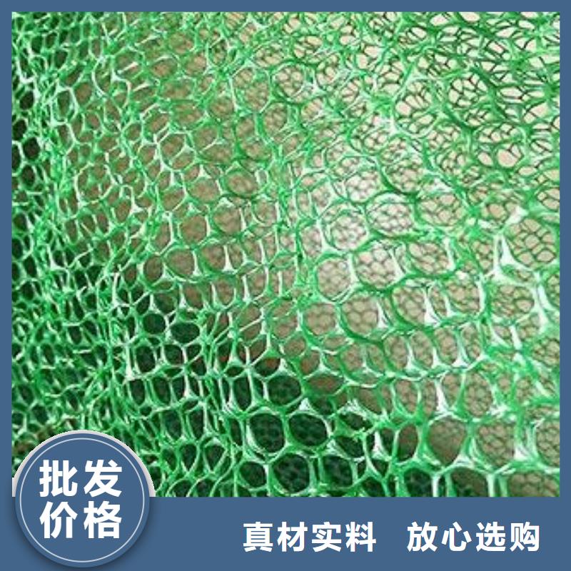 三維植被網(wǎng)滌綸土工格柵實體誠信廠家
