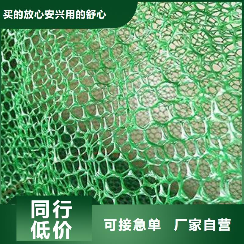 三维植被网双向拉伸土工格栅一站式采购