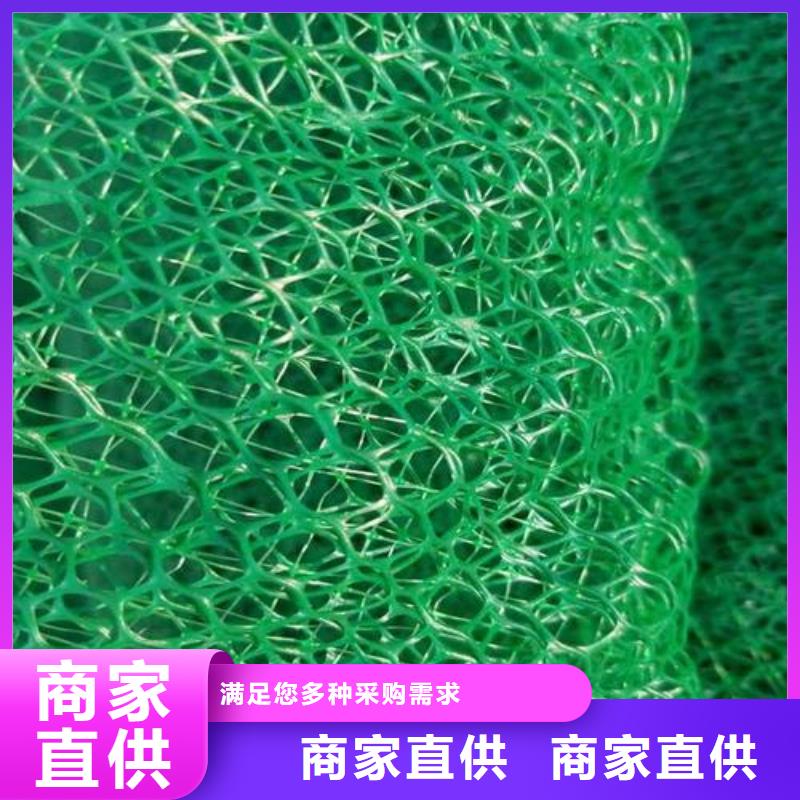三维植被网凸结点钢塑土工格栅专业生产制造厂