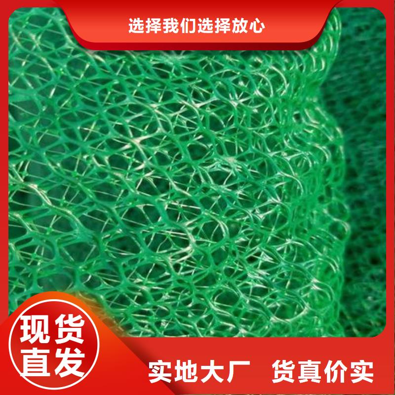 三维植被网玻纤土工格栅用途广泛