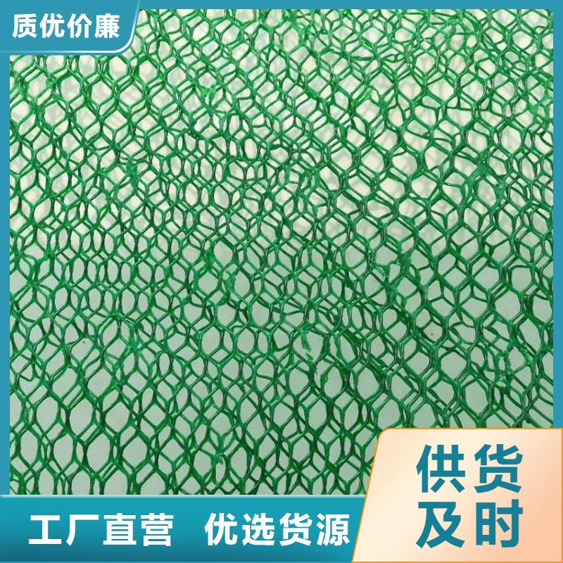 三维植被网玻纤土工格栅用途广泛