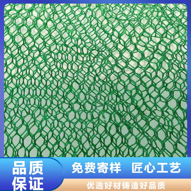 三维植被网土工席垫优选好材铸造好品质