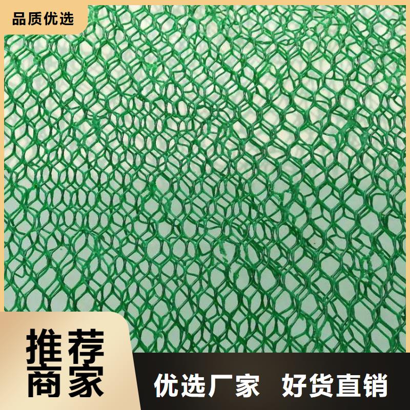 三维植被网单向拉伸塑料格栅您想要的我们都有