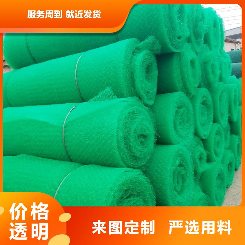 保亭縣三維植被網(wǎng)加筋土工網(wǎng)墊EM4植被網(wǎng)護(hù)坡加筋