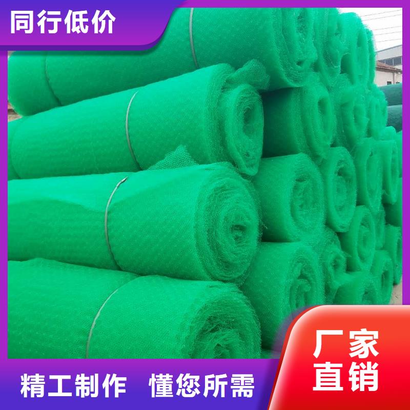 三維植被網(wǎng)_凸結(jié)點(diǎn)鋼塑土工格柵快速發(fā)貨