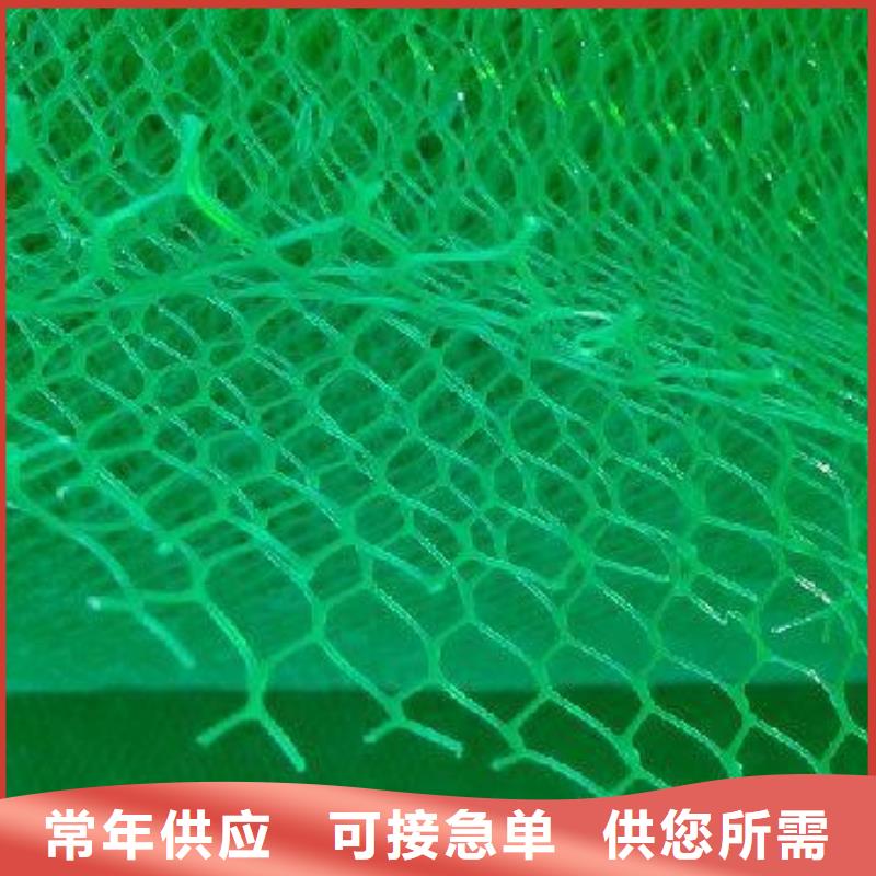 三维植被网渗排水片材源头工厂