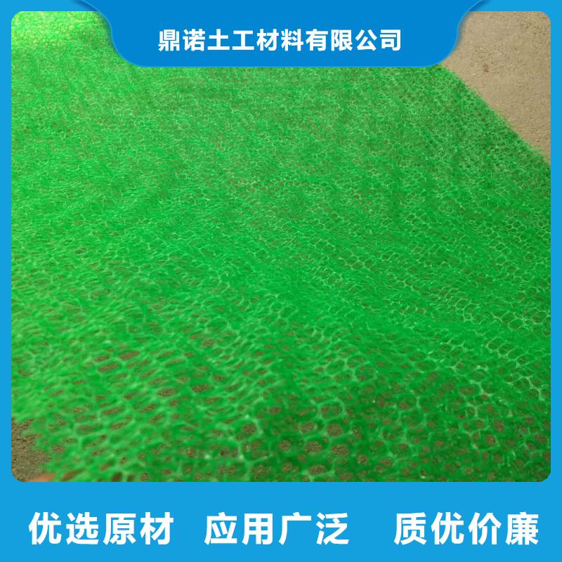 三維植被網(wǎng)-鋼塑土工格柵優(yōu)選廠家