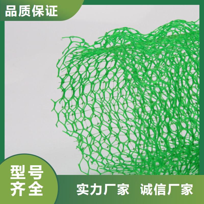 三维植被网双向拉伸土工格栅一站式采购