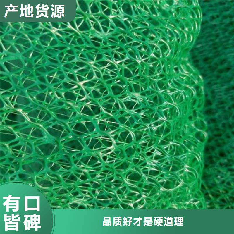 三維植被網(wǎng)滌綸土工格柵實體誠信廠家