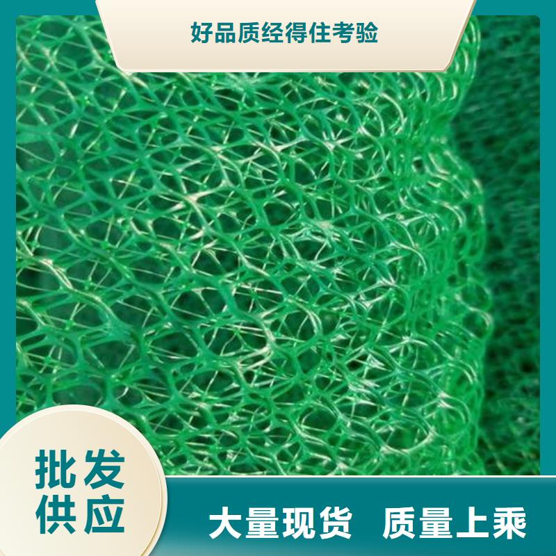 三维植被网土工席垫质检合格发货