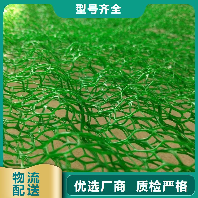 三維植被網(wǎng)-雙向塑料土工格柵貨源直銷