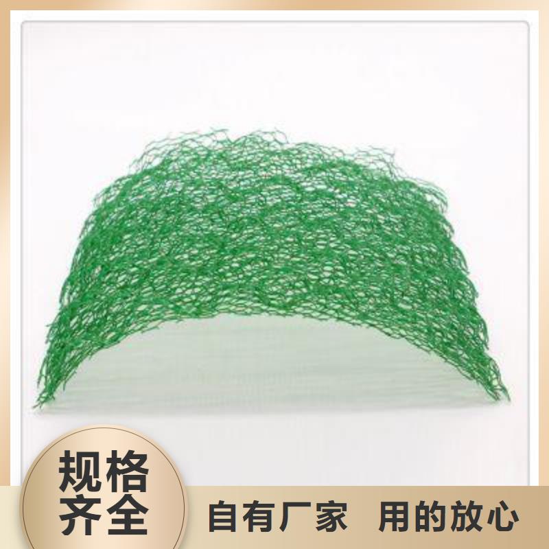 三維植被網(wǎng)滌綸土工格柵實(shí)體誠信廠家
