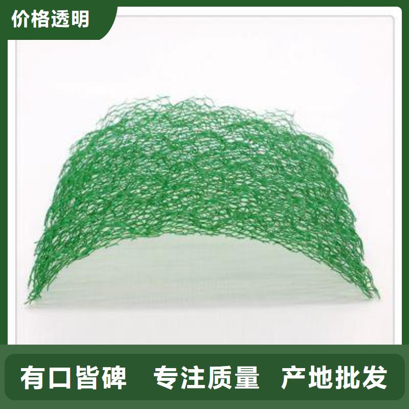 三維植被網(wǎng)單向拉伸塑料格柵您想要的我們都有
