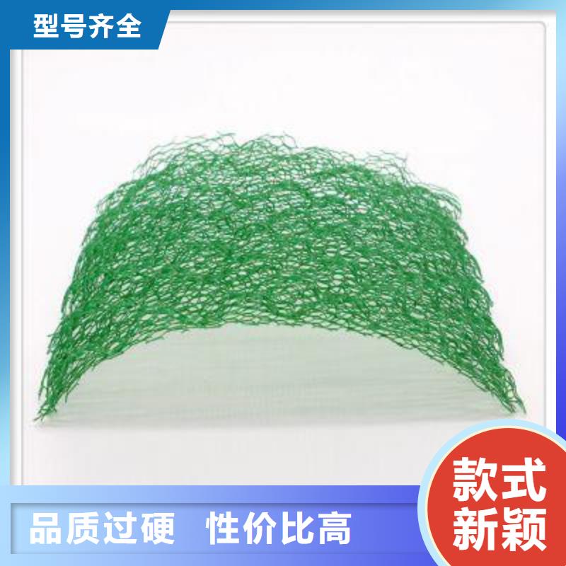三維植被網(wǎng)軟式透水管廠家質(zhì)量過(guò)硬
