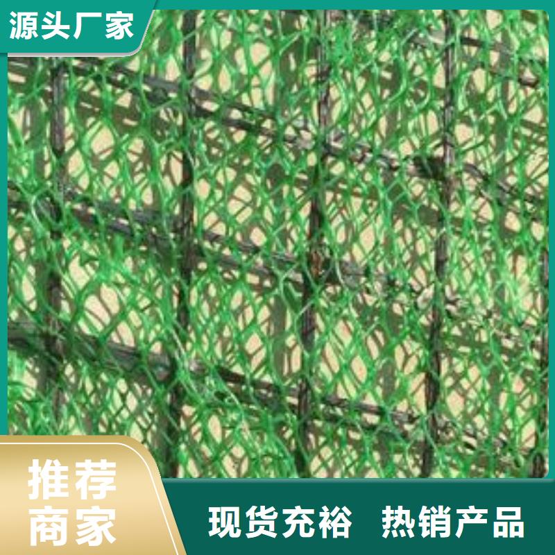 三维植被网渗排水片材源头工厂