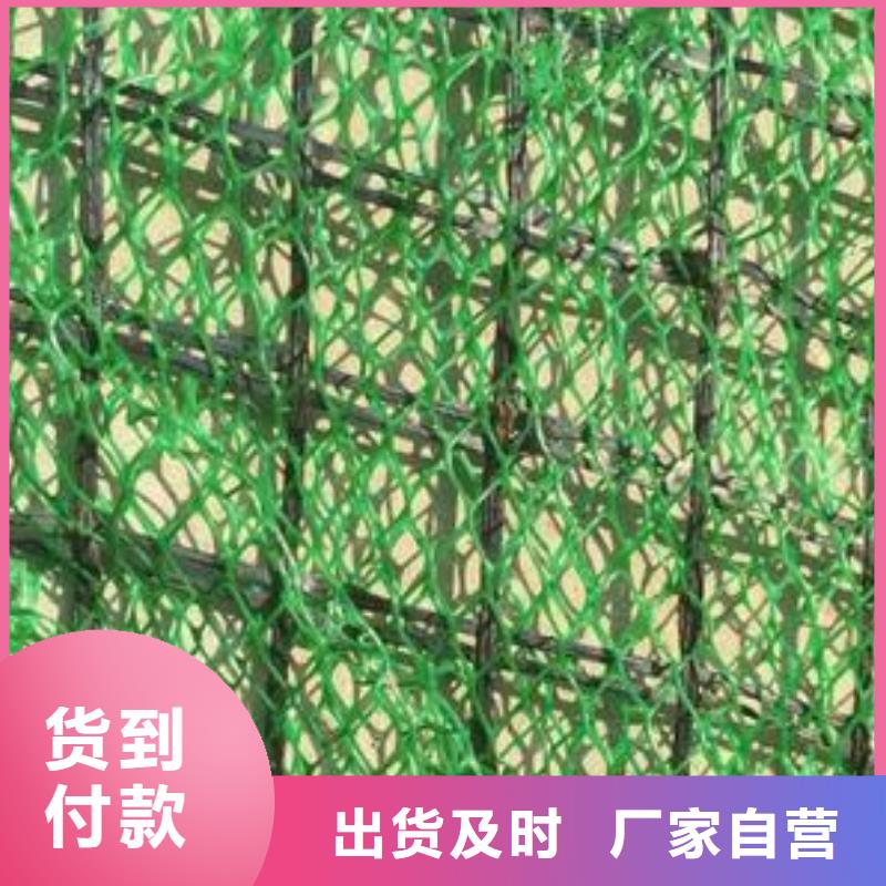 三維植被網(wǎng)土工席墊質(zhì)檢合格發(fā)貨