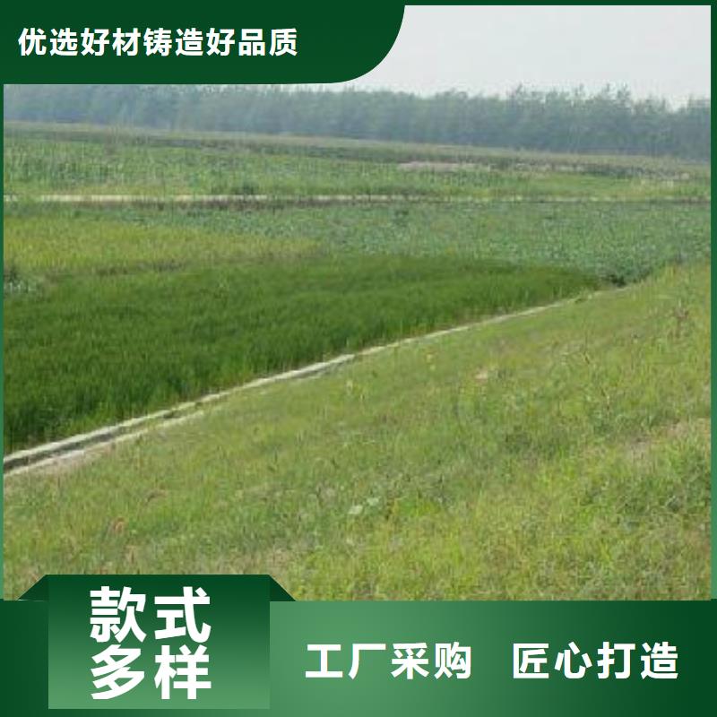 三维植被网玻纤土工格栅快捷的物流配送