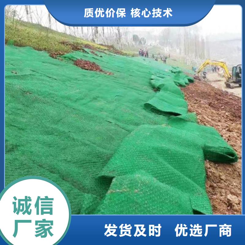 三維植被網(wǎng)土工席墊質(zhì)檢合格發(fā)貨