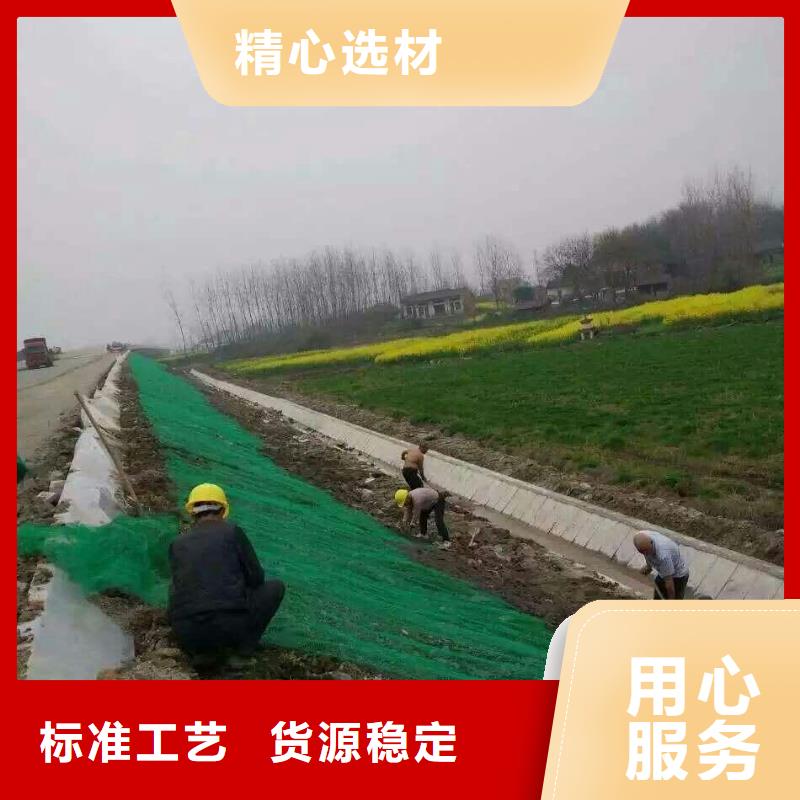 三維植被網(wǎng)_凸結(jié)點(diǎn)鋼塑土工格柵快速發(fā)貨