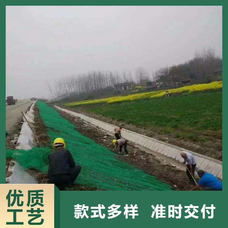三維植被網(wǎng)滌綸土工格柵實(shí)體誠信廠家
