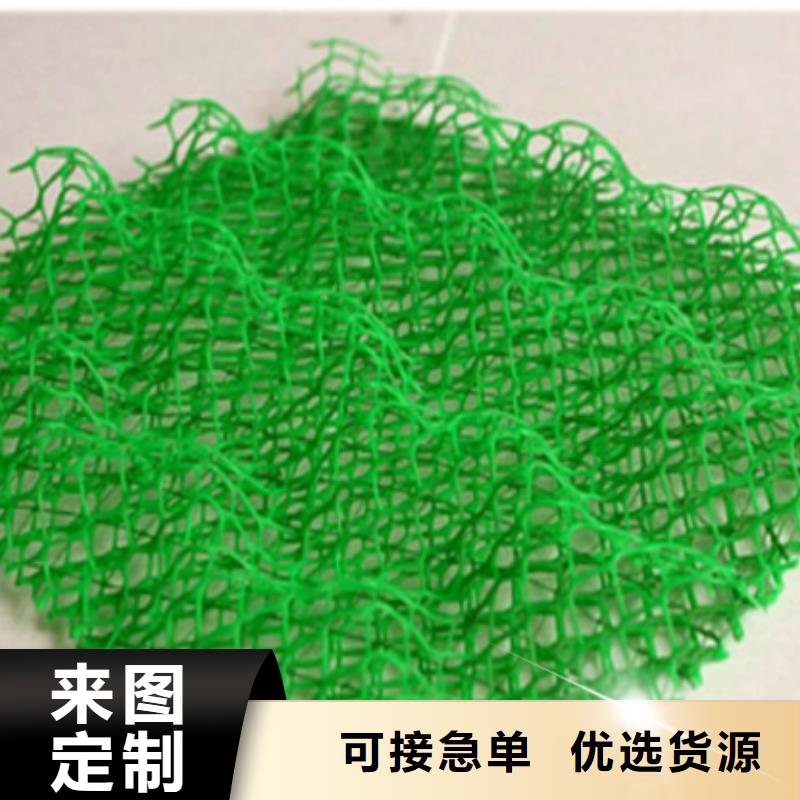 三維植被網(wǎng)_三維復(fù)合排水網(wǎng)卓越品質(zhì)保障