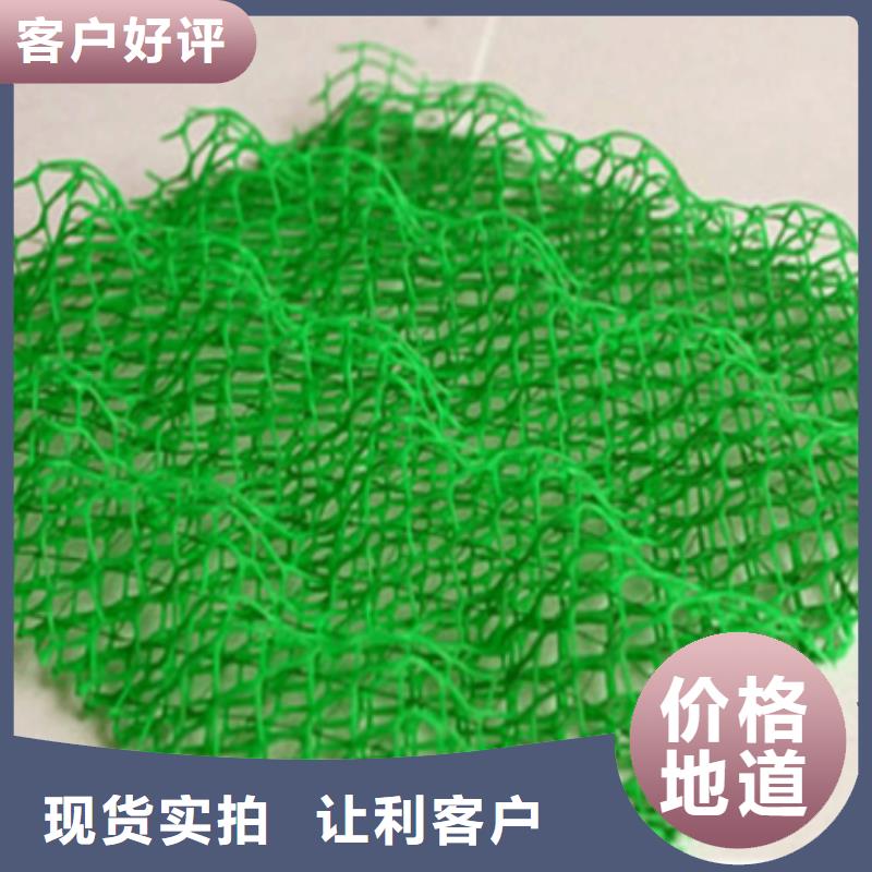 三維植被網(wǎng)-鋼塑土工格柵優(yōu)選廠家